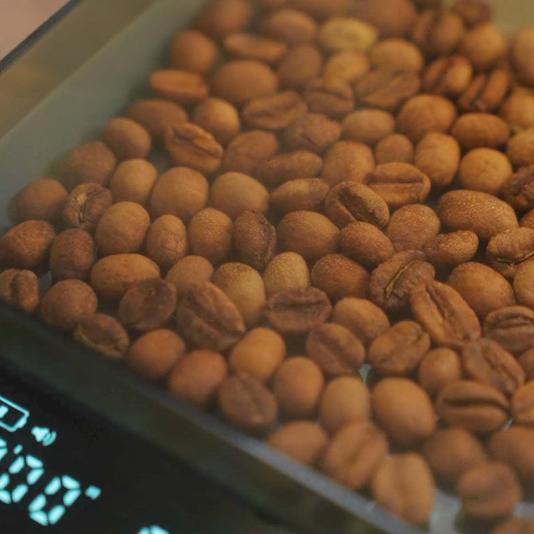 Electric Anti-Static Bean Sprayer